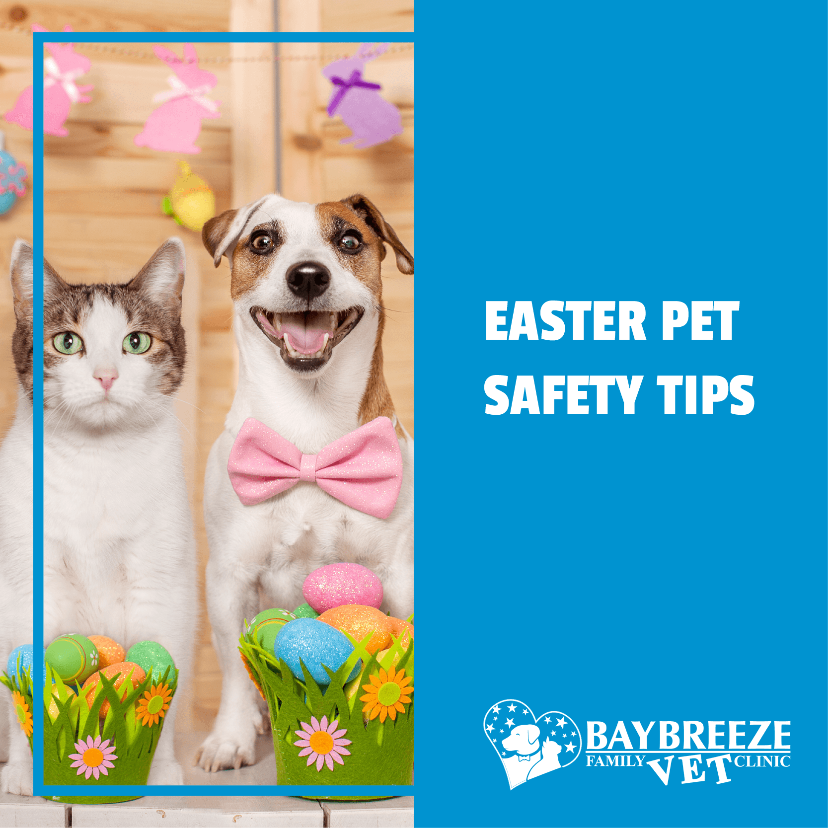 Easter Pet Safety Tips Easter Pet Safety Tips